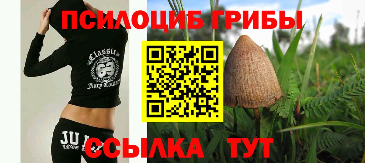 Тольятти  Галлюциногенные грибы мухоморы  Вход с VPN 